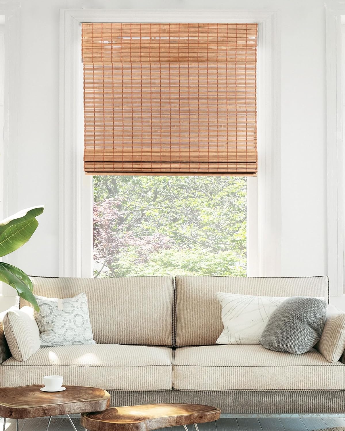 CHICOLOGY Bamboo Blinds , Shades Roman for Windows Window Home Patio & Shade 27"W X 64"H, Squirrel